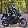 DSC02391 DSC02391