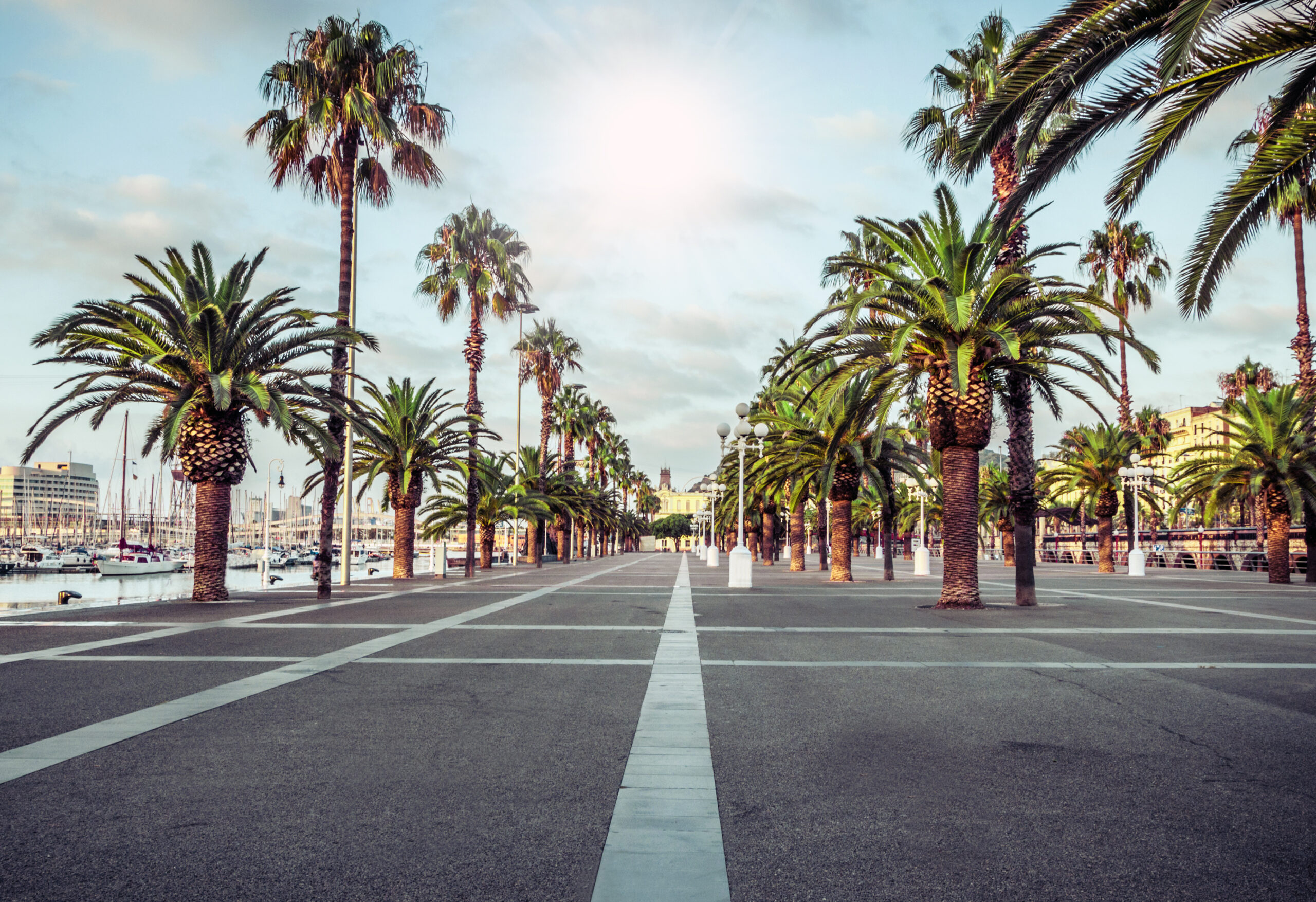promenade In the streets of Barcelona Spain.